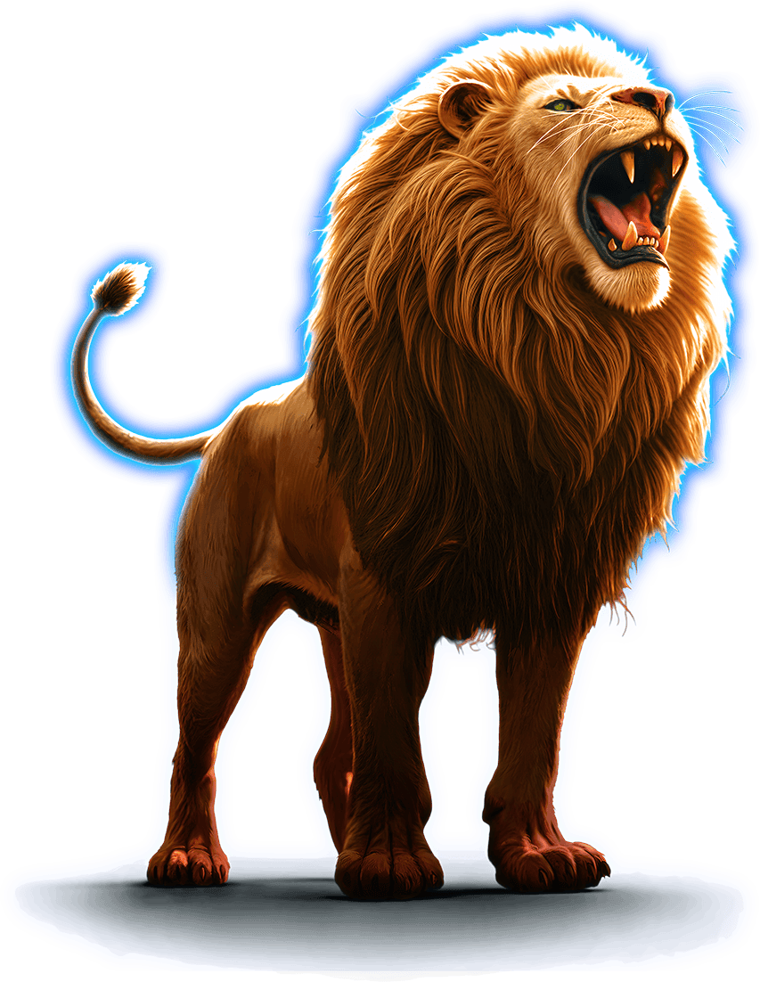 Cash Connection™ – Moonlight Safari