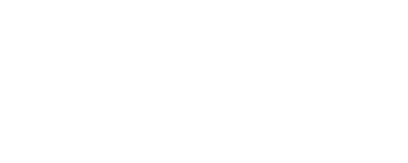 ICE-W2