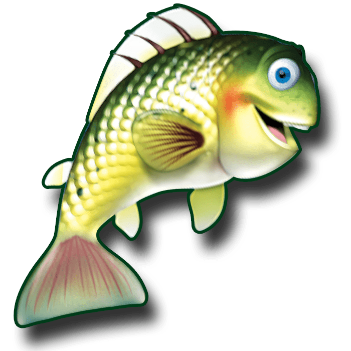 Big Catch™