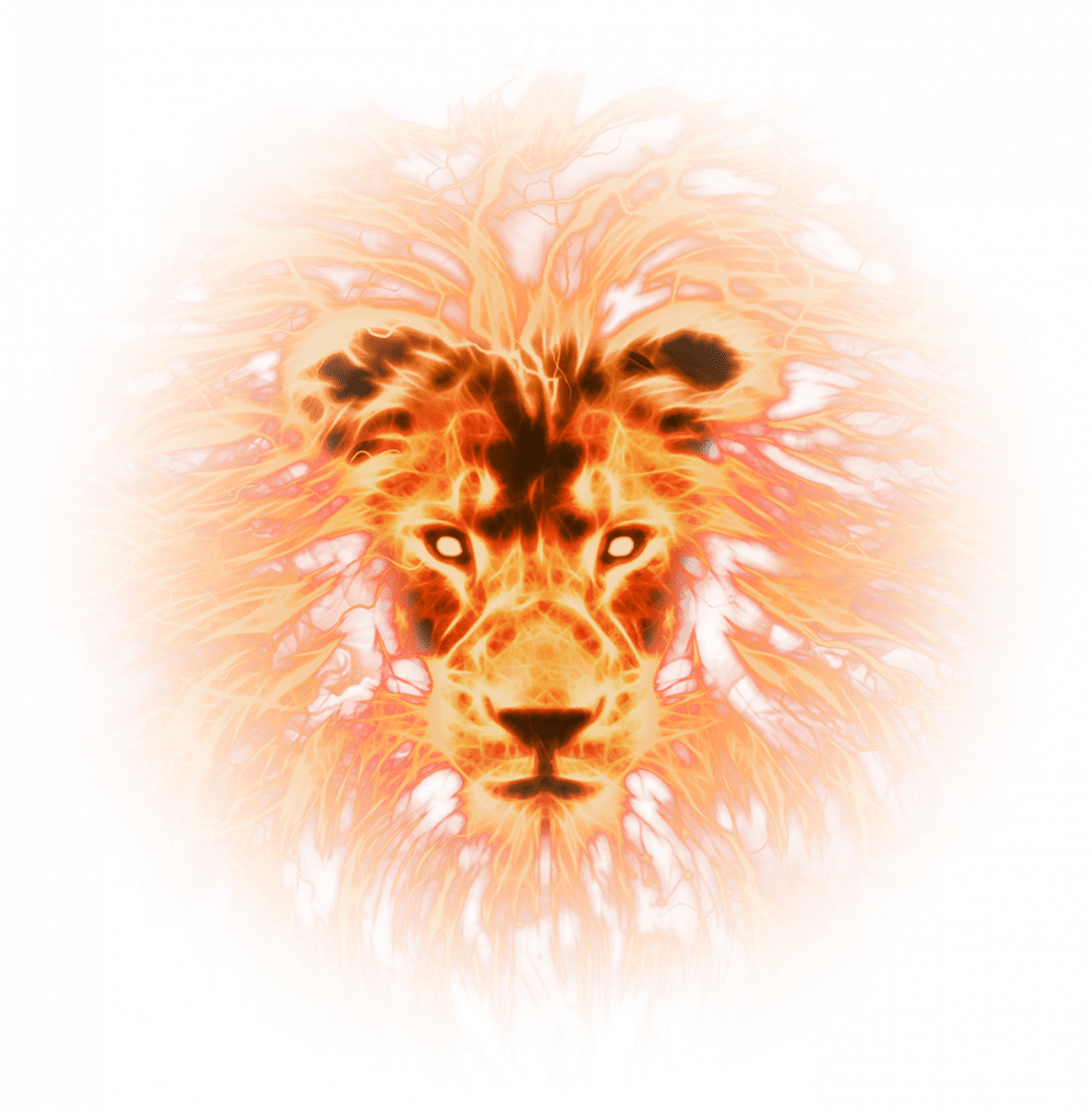 Lightning Lion