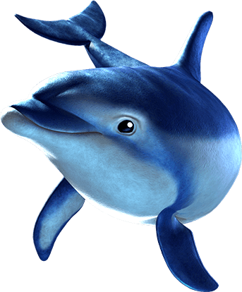 Dolphin’s Pearl™ deluxe 10