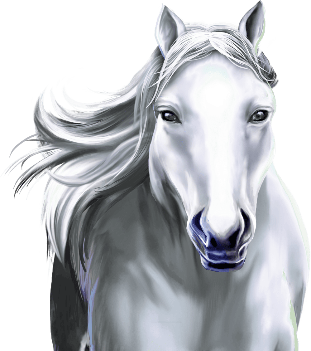 Mustang Dreaming™ Buy Bonus