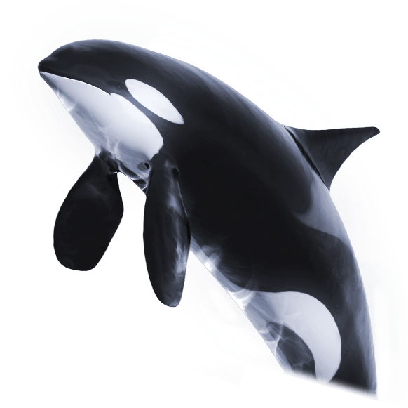 Orca™